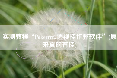 实测教程“Pokerrrr2透视挂作弊软件”(原来真的有挂)