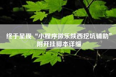 终于呈现“小程序微乐陕西挖坑辅助	”附开挂脚本详细