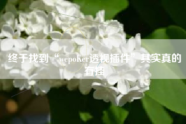 终于找到“wepoKer透视插件”其实真的有挂