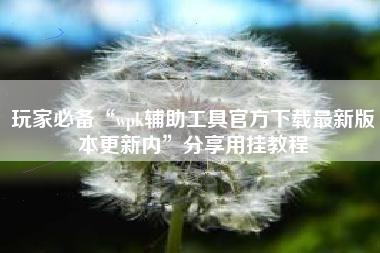 玩家必备“wpk辅助工具官方下载最新版本更新内	”分享用挂教程