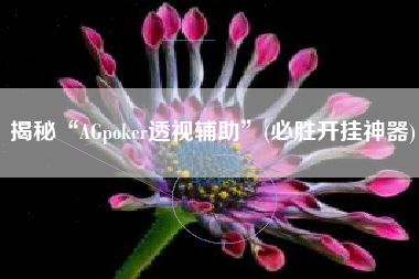 揭秘“AGpoker透视辅助	”(必胜开挂神器)
