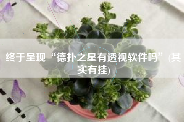 终于呈现“德扑之星有透视软件吗”(其实有挂)