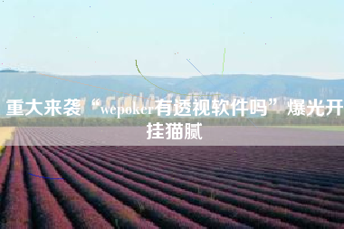 重大来袭“wepoker有透视软件吗”爆光开挂猫腻