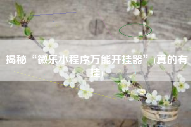 揭秘“微乐小程序万能开挂器”(真的有挂)