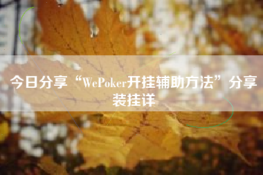 今日分享“WePoker开挂辅助方法	”分享装挂详