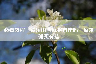必看教程“微乐山西麻将有挂吗”原来确实有挂