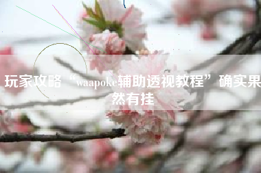 玩家攻略“waapoke辅助透视教程”确实果然有挂