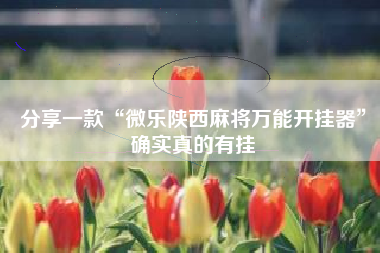 分享一款“微乐陕西麻将万能开挂器”确实真的有挂