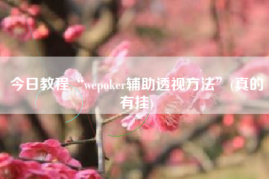 今日教程“wepoker辅助透视方法”(真的有挂)