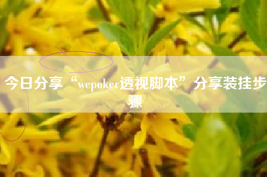 今日分享“wepoker透视脚本”分享装挂步骤