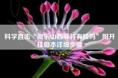 科学直击“微乐山西麻将有挂吗”附开挂脚本详细步骤