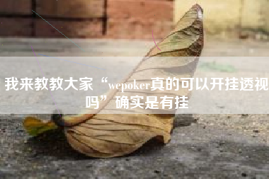 我来教教大家“wepoker真的可以开挂透视吗”确实是有挂
