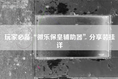 玩家必备“微乐保皇辅助器	”分享装挂详