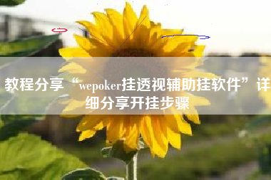 教程分享“wepoker挂透视辅助挂软件”详细分享开挂步骤