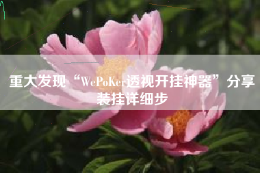 重大发现“WePoKer透视开挂神器	”分享装挂详细步