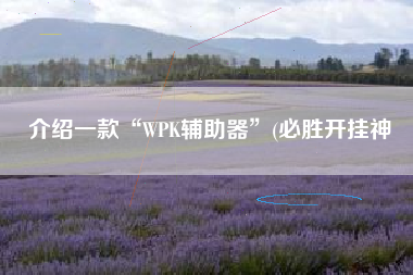 介绍一款“WPK辅助器”(必胜开挂神