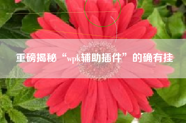 重磅揭秘“wpk辅助插件”的确有挂