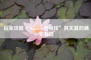 玩家攻略“AGpoker透视挂	”其实真的确实有挂