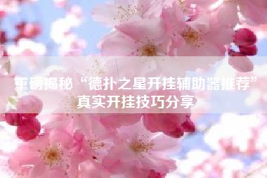 重磅揭秘“德扑之星开挂辅助器推荐”真实开挂技巧分享