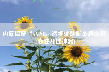 内幕揭晓“AAPOKer透视辅助脚本怎么用”(必胜开挂神器)