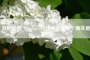 分析必看“wepoker开挂神器透视	”确实是有挂