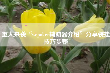 重大来袭“wepoker辅助器介绍”分享装挂技巧步骤