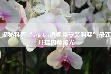 揭秘科普“wepoker透视挂安装购买”最新开挂内幕曝光