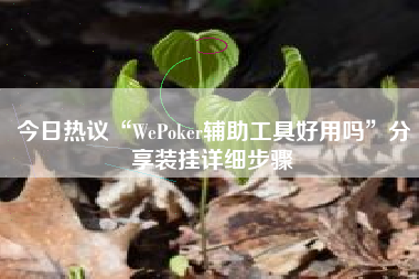 今日热议“WePoker辅助工具好用吗”分享装挂详细步骤