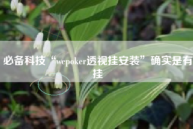必备科技“wepoker透视挂安装”确实是有挂