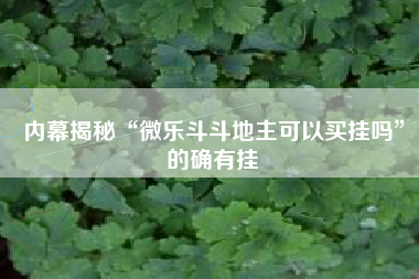 内幕揭秘“微乐斗斗地主可以买挂吗”的确有挂