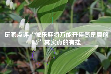 玩家点评“微乐麻将万能开挂器是真的吗	”其实真的有挂