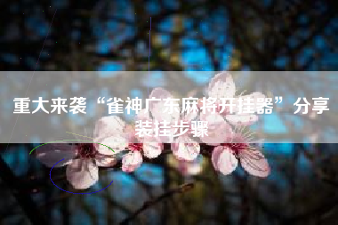 重大来袭“雀神广东麻将开挂器”分享装挂步骤