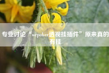 专业讨论“wepoker透视挂插件”原来真的有挂
