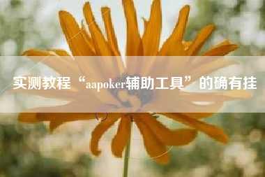 实测教程“aapoker辅助工具”的确有挂