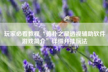 玩家必看教程“德扑之星透视辅助软件游戏简介”详细开挂玩法