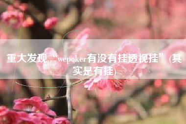 重大发现“wepoker有没有挂透视挂”(其实是有挂)