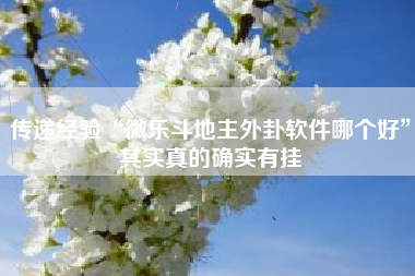 传递经验“微乐斗地主外卦软件哪个好”其实真的确实有挂