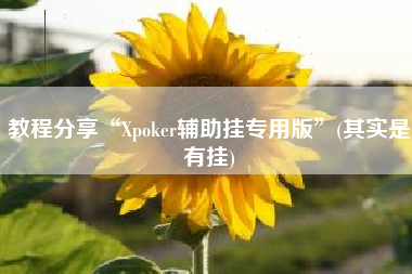 教程分享“Xpoker辅助挂专用版”(其实是有挂)