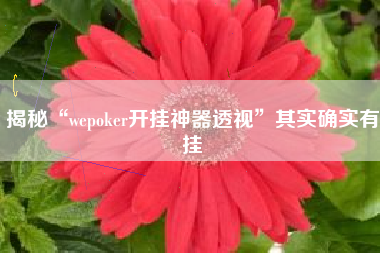 揭秘“wepoker开挂神器透视”其实确实有挂