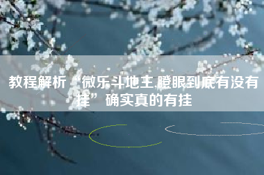 教程解析“微乐斗地主,瞪眼到底有没有挂”确实真的有挂