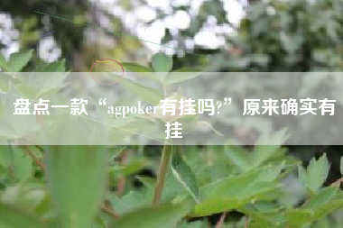 盘点一款“agpoker有挂吗?”原来确实有挂