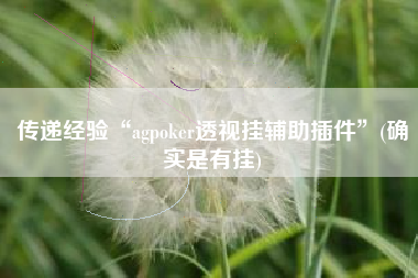 传递经验“agpoker透视挂辅助插件”(确实是有挂)