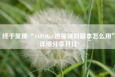 终于呈现“AAPOKer透视辅助脚本怎么用”详细分享开挂