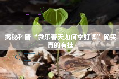 揭秘科普“微乐春天如何拿好牌	”确实真的有挂