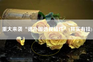 重大来袭“德扑圈透视插件	”(其实有挂)