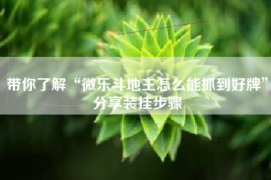 带你了解“微乐斗地主怎么能抓到好牌”分享装挂步骤