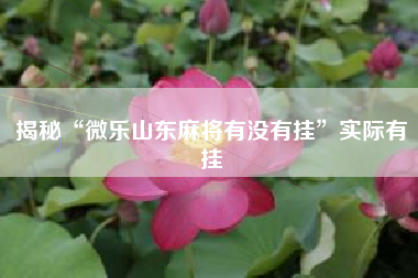 揭秘“微乐山东麻将有没有挂”实际有挂