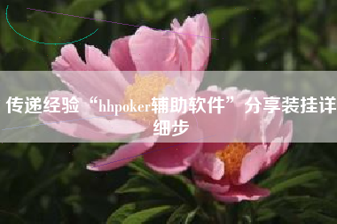 传递经验“hhpoker辅助软件	”分享装挂详细步