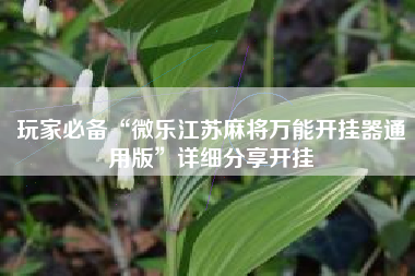 玩家必备“微乐江苏麻将万能开挂器通用版”详细分享开挂