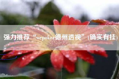 强力推荐“wepoker德州透视”(确实有挂)